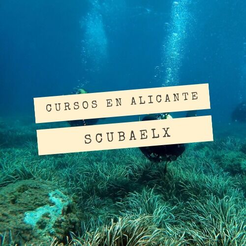 curso de buceo alicante