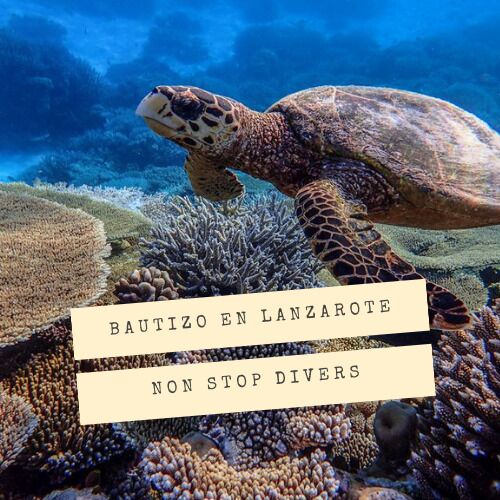 Bautizo en Playa Flamingo con Lanzarote Non Stop Divers