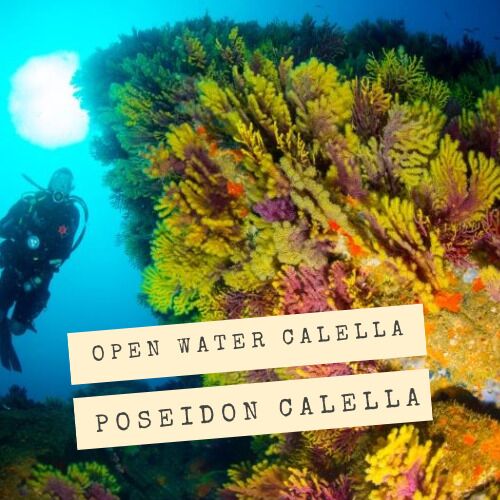 Open Water en Calella de Palafrugell con Poseidon Calella