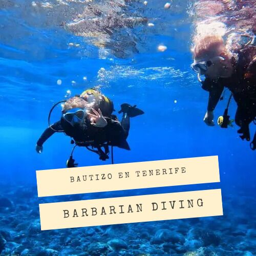 Bautizo de buceo en Los Cristianos con Barbarian Diving