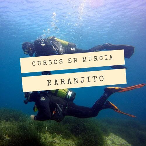 Open Water Diver en Murcia con Naranjito