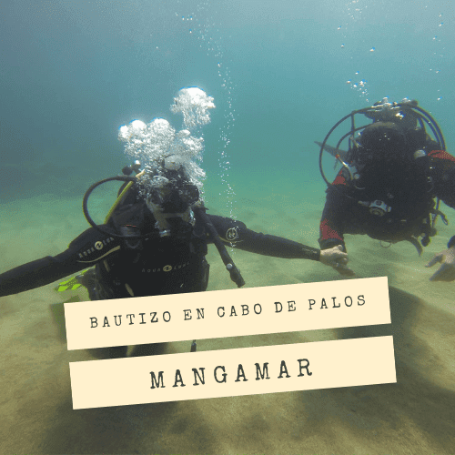 Discover Scuba en Cabo de Palos con Mangamar