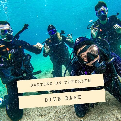 Bautizo de buceo en Alcalá con DiveBase Tenerife