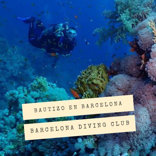 Bautizo de buceo en Barcelona con Barcelona Diving Club